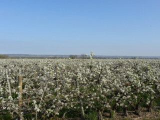 MORAS-EN-VALLOIRE-drome