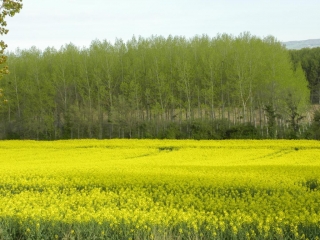 MORAS-EN-VALLOIRE-drome