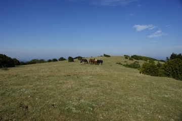 EYZAHUT - MONTAGNE DU POET-drome