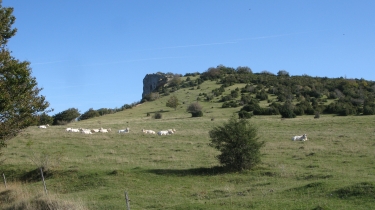 LES MONTS DU MATIN-drome