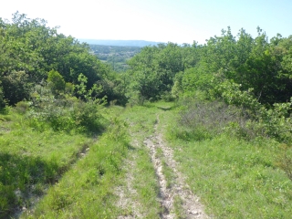 LA GARDE ADHEMAR-drome