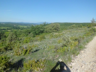 LA GARDE ADHEMAR-drome