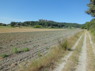 SAINT-PAUL-TROIS-CHATEAUX-drome