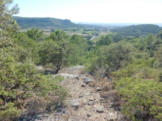 SAINT-PAUL-TROIS-CHATEAUX-drome