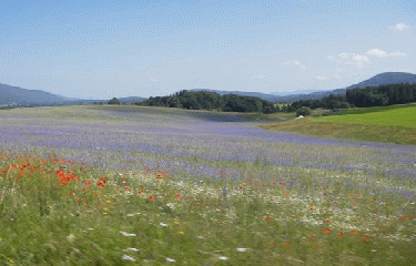 PLATEAU DU VERCORS-drome