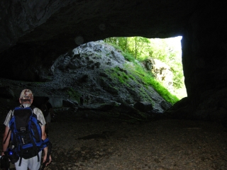 LE SAPIN BRONZE - GROTTE DU BRUDOUR-drome