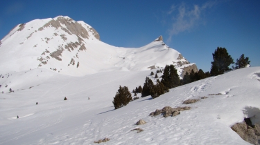 L AIGUILLETTE EN RAQUETTE-drome