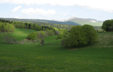 But de SAINT GENIX-drome