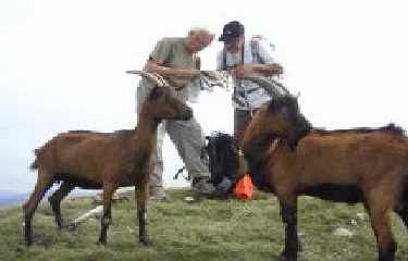 LA LANCE DEPUIS LES GUILLES-drome