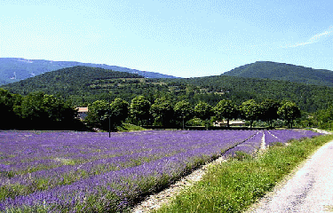 MONJOUX  - COL  MAROT-drome