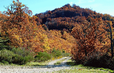 MONTAGNE DE RUY-drome