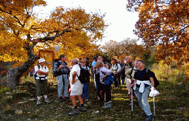 MONTAGNE DE RUY-drome