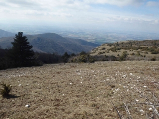 COMBOVIN - LE PLATEAU-drome