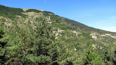 GRAND DELMAS (ALT. 1544M) PAR ROCHEFOURCHAT-drome