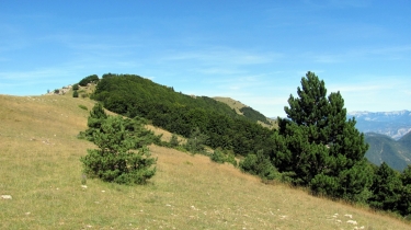 GRAND DELMAS (ALT. 1544M) PAR ROCHEFOURCHAT-drome