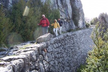 PETITE CORNOUZE-drome