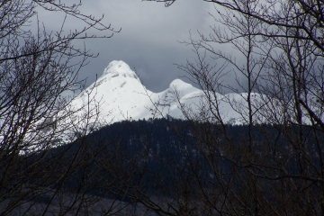 PETITE CORNOUZE-drome