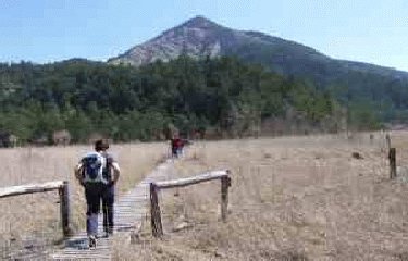 MARAIS DES BOULIGONS-drome