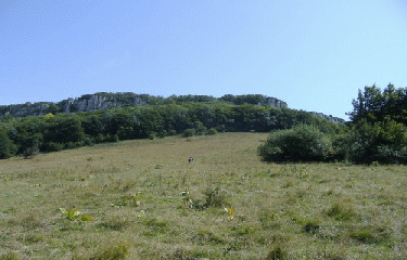 BEAUREGARD BARET-drome