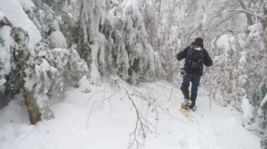 TOUR DU PERRUCLAT EN RAQUETTES A NEIGE-drome