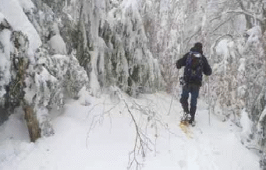 TOUR DU PERRUCLAT EN RAQUETTES A NEIGE-drome