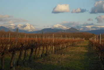 RANDONNEE LA LAUPIE - SUR LE CHEMIN DE BORNE ROUSSE-drome