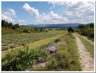 BALADE ODORANTE ET PEDAGOGIQUE-drome