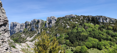 BORDURE DE PIERRE CHAUVE-drome