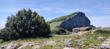 BORDURE DE PIERRE CHAUVE-drome