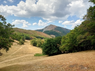 SAINT-AGNAN-EN-VERCORS - COL DE ROUSSET PAR LA BERGERIE-drome