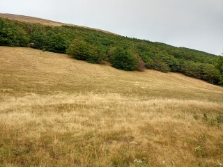 SAINT-AGNAN-EN-VERCORS - COL DE ROUSSET - LES GAURAS-drome