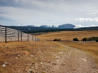 SAINT-AGNAN-EN-VERCORS - COL DE ROUSSET - BEURE PAR BUT SAPIAU-drome