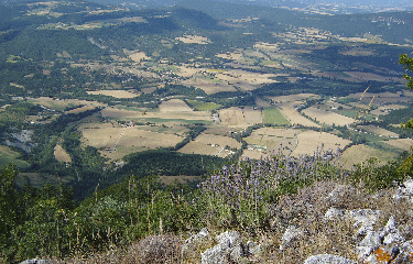 GRAND POMEROLLE-drome