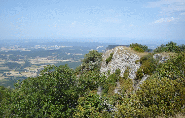 GRAND POMEROLLE-drome