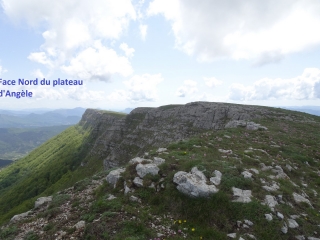 LE MERLU - PLATEAU D ANGELE-drome