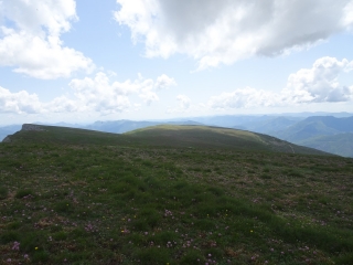 LE MERLU - PLATEAU D ANGELE-drome