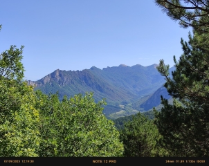 FORêT DE SAOU-drome