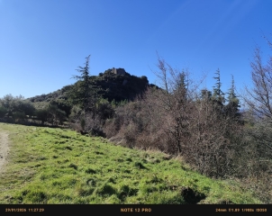 MONTBRISON/LEZ - LE PèGUE-drome