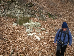 TAULIGNAN - FONTAINE DE CHARROUX-drome