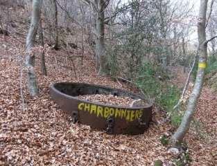 TAULIGNAN - FONTAINE DE CHARROUX-drome