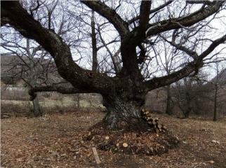 LA PAILLETTE MONJOUX-drome