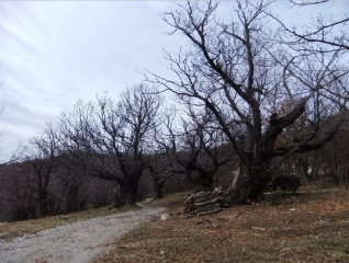 LA PAILLETTE MONJOUX-drome