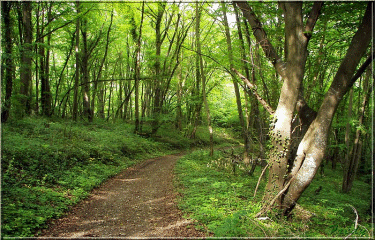 ACQUIGNY - CIRCUIT DES ETANGS-eure