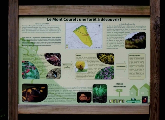 BERVILLE-SUR-MER (2)-eure