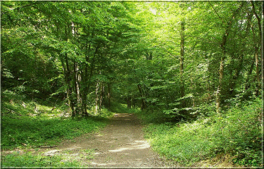 le circuit de Croth-eure