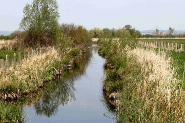 SAINT-SANSOM-DE-LA-ROQUE-eure