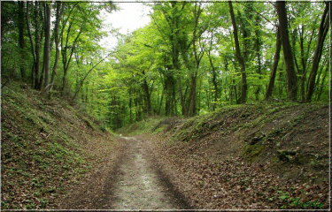 La croix St Leufroy-eure