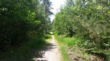 ROND DE FRANCE - FORET DE LOUVIERS-eure