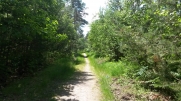 ROND DE FRANCE - FORET DE LOUVIERS-eure