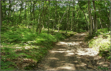 Circuits des marres-eure